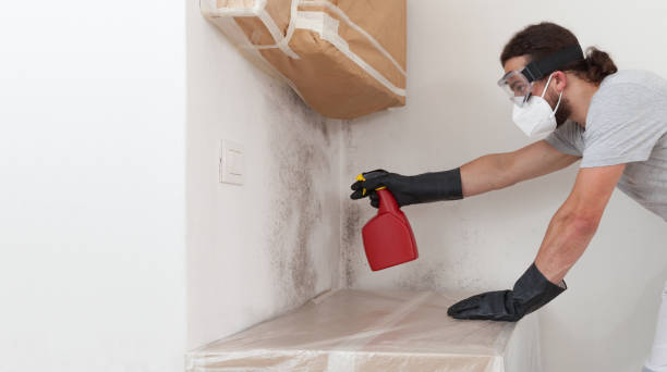 Professional Bathroom Mold Removal technician working in Benson, NC