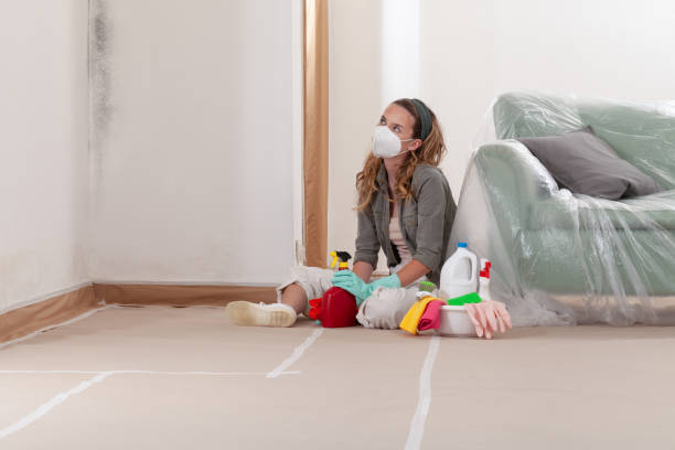 Reliable Mold Remediation contractor in Benson, NC by Cheap Mold Removal