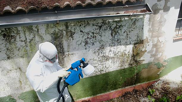 Trusted Mold Testing service in Benson, NC - Cheap Mold Removal